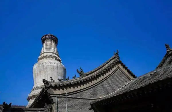 _释迦摩尼佛陀真身舍利_真身舍利