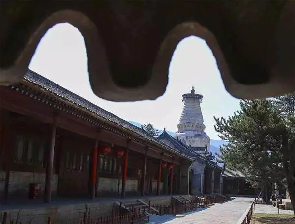 释迦摩尼佛陀真身舍利_真身舍利_