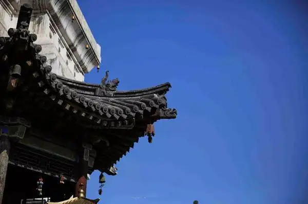 _释迦摩尼佛陀真身舍利_真身舍利