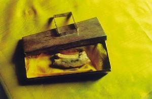 全国佛教寺院联系方式_佛牙塔开放时间_