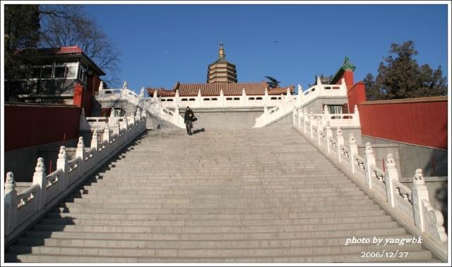 佛牙塔开放时间_全国佛教寺院联系方式_
