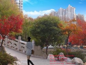 园林景观栏杆-步道护栏图片