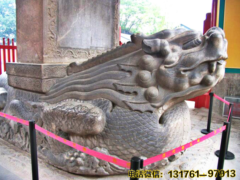 驮石头的乌龟
