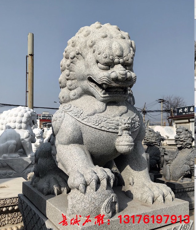 北方石狮子